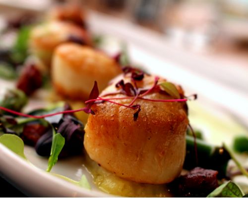 Pan-fried scallops from Carreg at The Cliffs